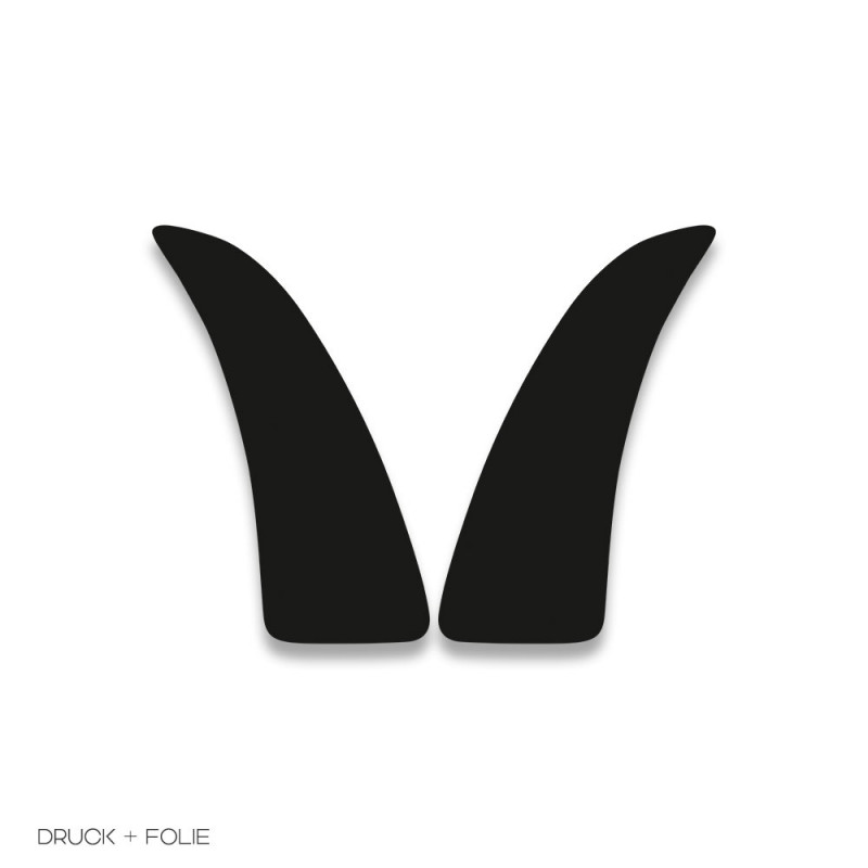 Stone chip protection film for Porsche 987 Boxster / Cayman Stone chip